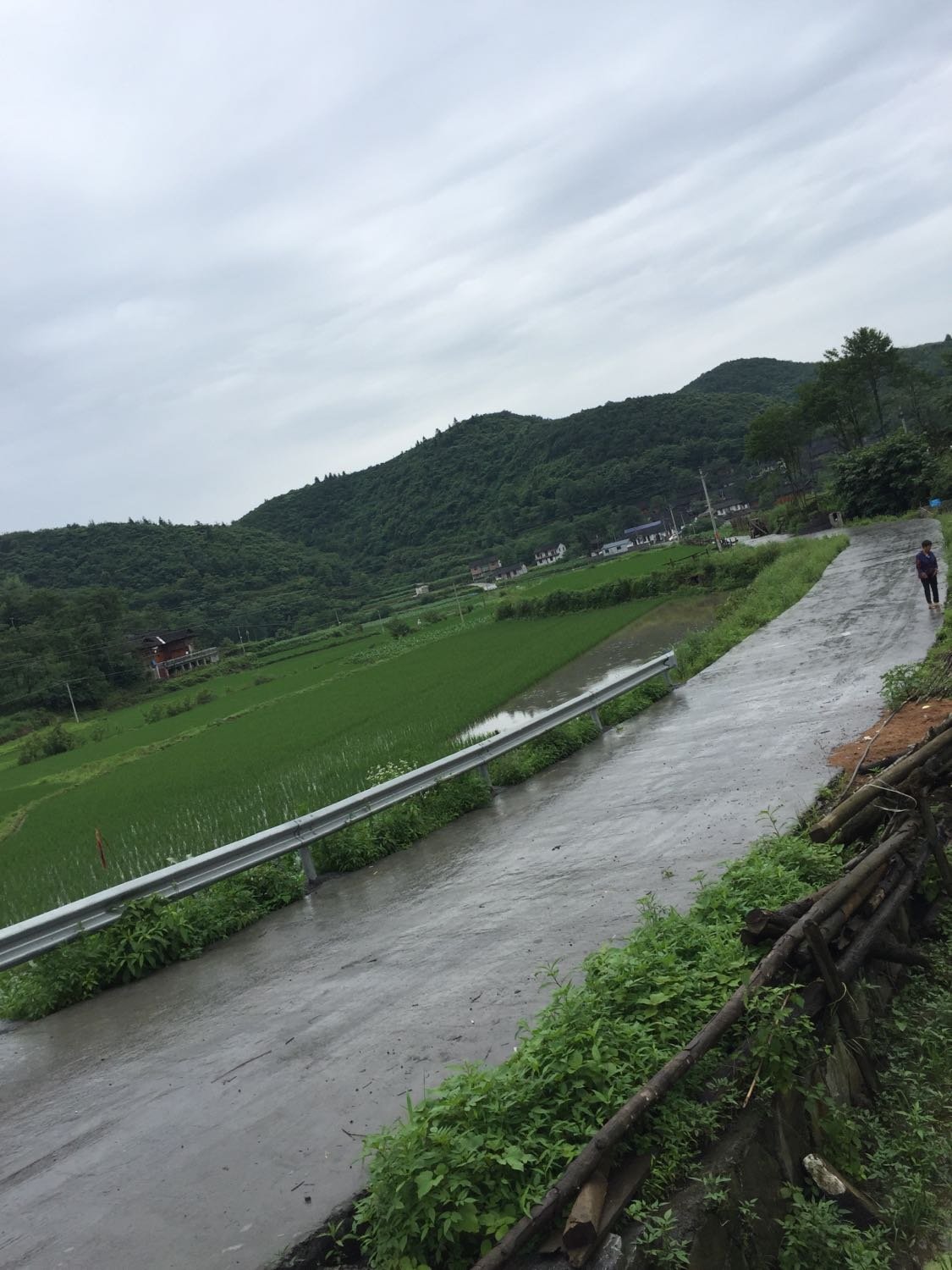 严务乡天气预报更新通知