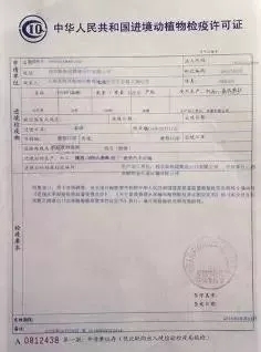 二连浩特市防疫检疫站人事任命动态，最新人事调整及其影响